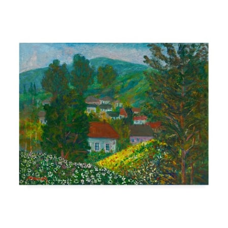 Manor Shadian 'Flowers In The Vale' Canvas Art,14x19